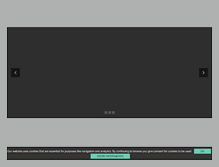 Tablet Screenshot of bloomandcadogan.com